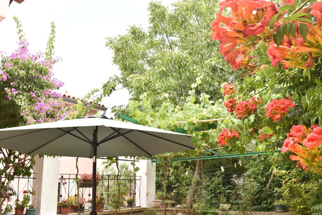 Holiday House Letizia Премантура Екстер'єр фото